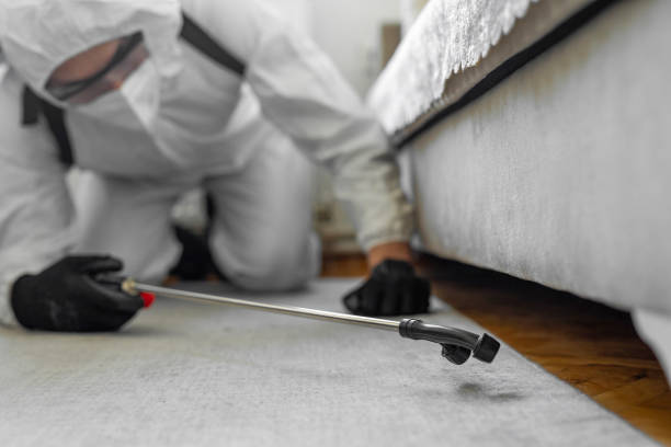Professional Cockroach Control technician working in Wellington, FL