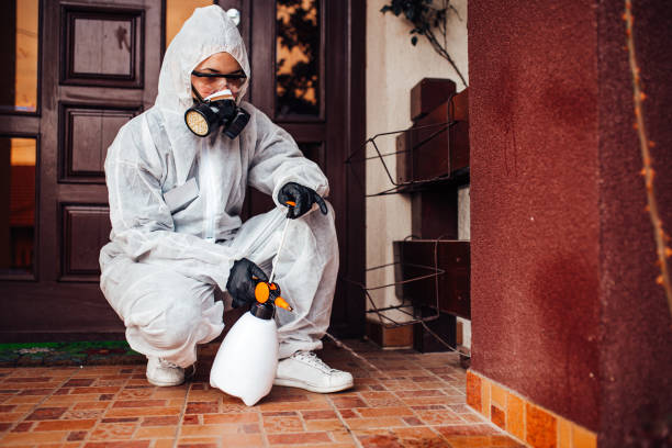 Reliable Cockroach Control contractor in Wellington, FL by Nex Pest Control